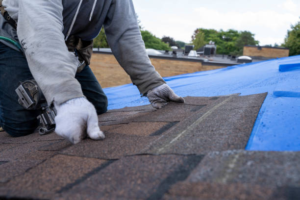 4 Ply Roofing in Eustace, TX